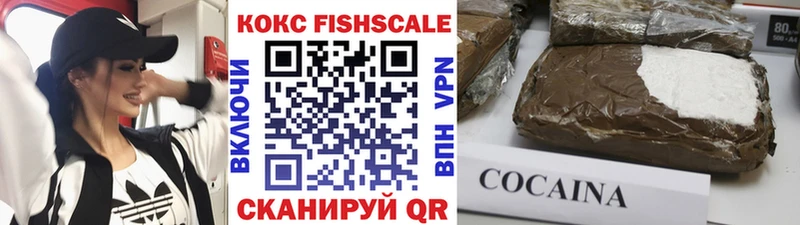 COCAIN FishScale  маркетплейс какой сайт  Сокол 