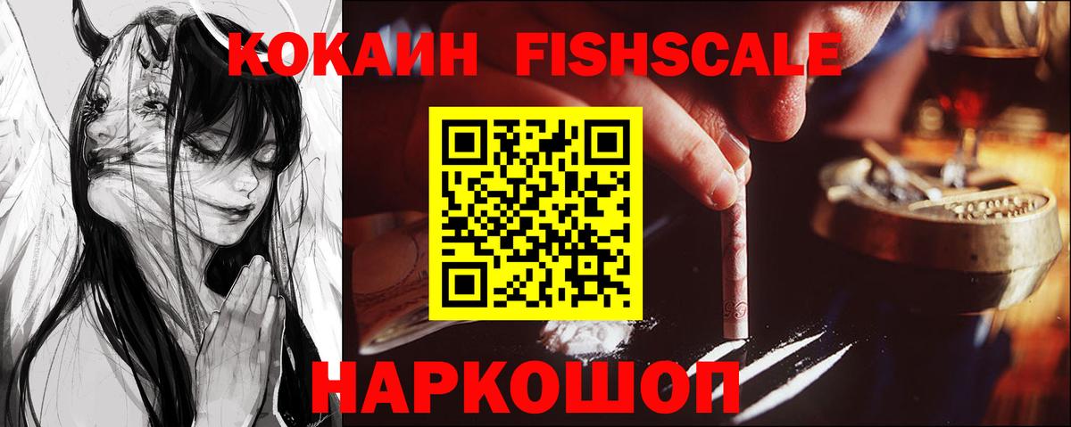 COCAIN Fish Scale  Вход с VPN  Сокол 